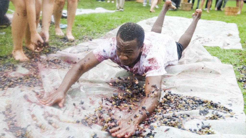 The annual Grape Stomp is one of several events on this weekend as Brock Days wraps up. 