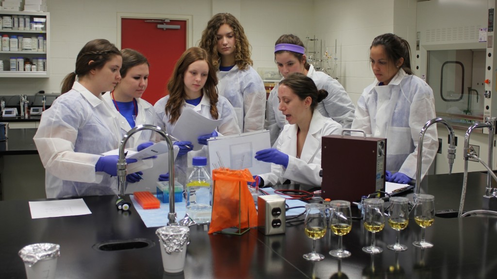Students participate in a oenology and viticulture yeast activity at Brock during last year's Scientifically Yours, which encourages high school girls to pursue education and careers in the sciences. 