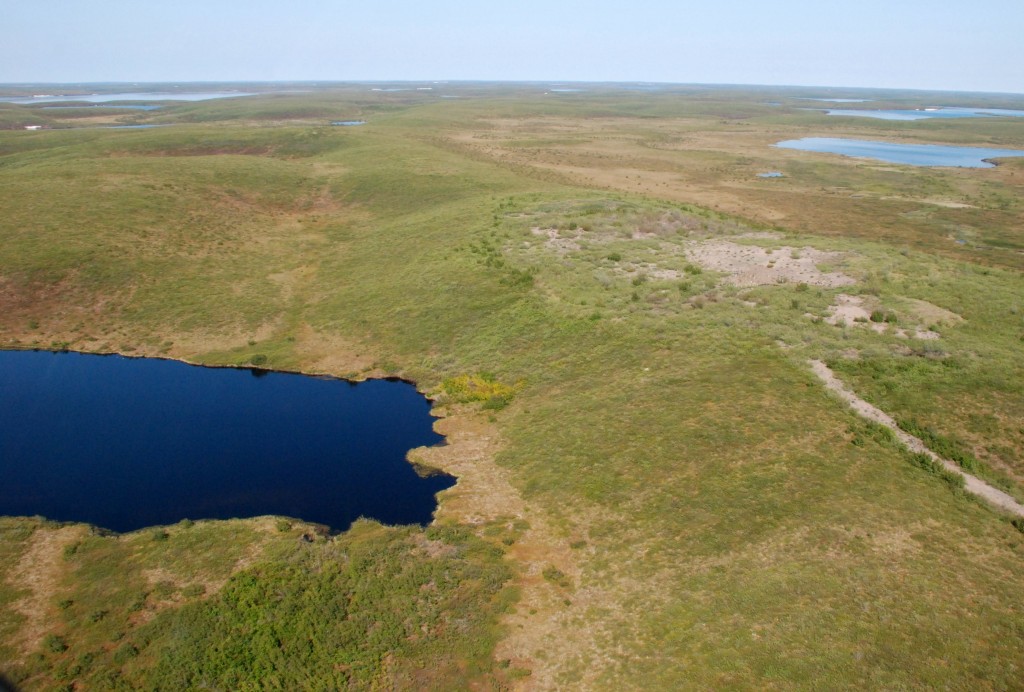Large drilling sump near Mackenzie Delta lake. This large sump is perched above and close to the edge of a small lake. The gravel road created during drilling is still visible. Image courtesy of Joshua Thienpont (Brock University).