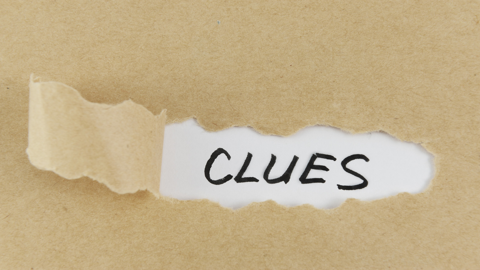 Every weekday during February, Research Matters will be releasing a video "clue" through its Virtual Scavenger Hunt website that in turn will take amateur sleuths to the website of one of Ontario's 21 universities.