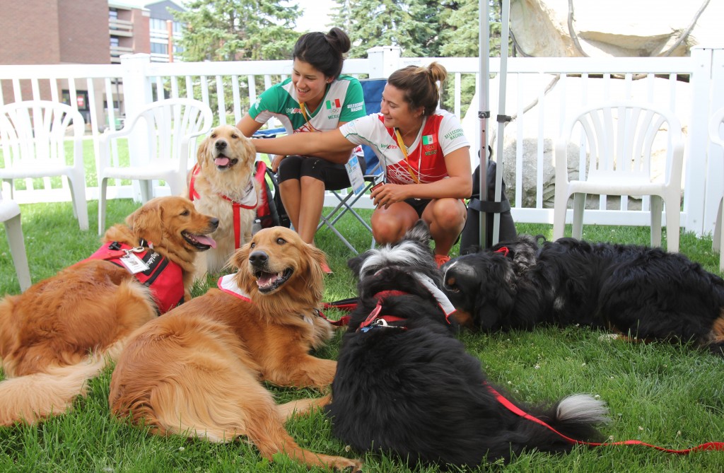 Athletes from Mexico take a time out with St. John Ambulance therapy dogs on Monday in Jubilee Court.