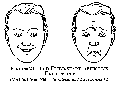 Figure 21 The Elementary Affective Expressions