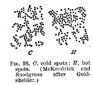 FIG 38. C, cold spots; H, hot spots (McKendrick and Snodgrass after Goldscheider.)