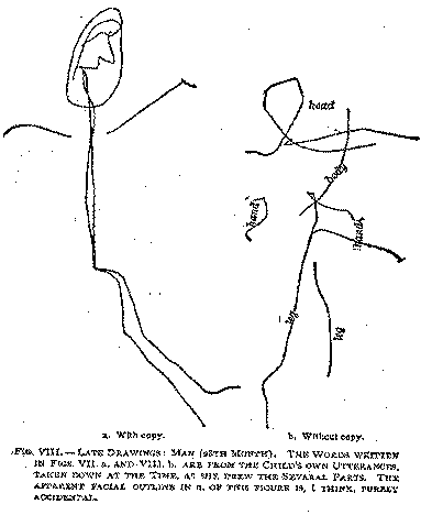 Figure 8, Late drawing