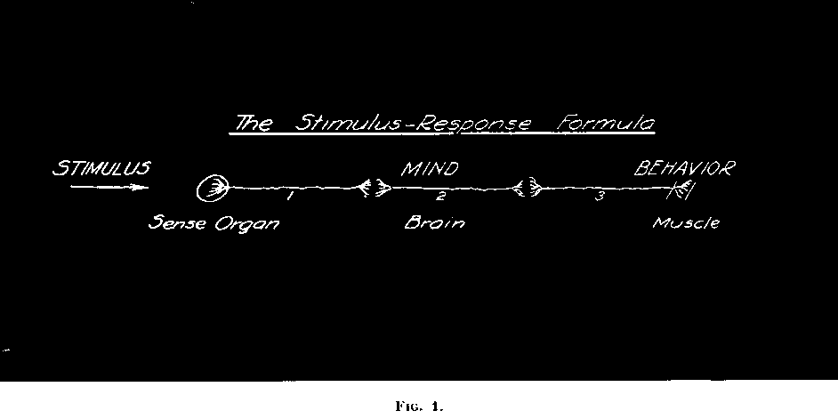 The Stimulus-Response Formula