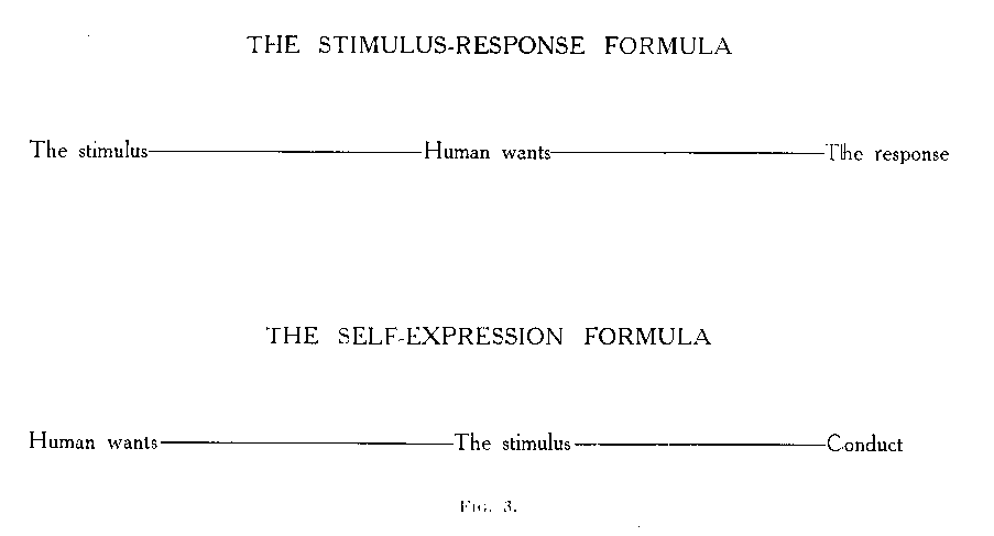 Figure 3, The Self-expression Formula