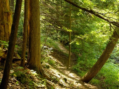 The Bruce Trail