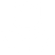 Flower - 500x500