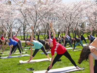 Yoga in the Cherry Blossoms