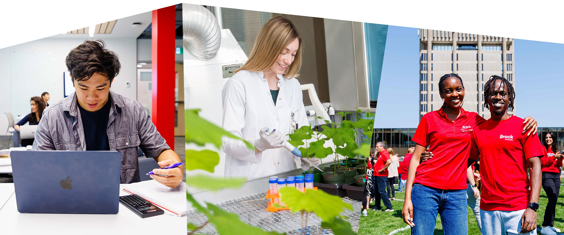 A Brock student works at a computer in a study space; a researcher works with plant samples in the Cairns Greenhouse; and 3 international student ambassadors smile at the camera