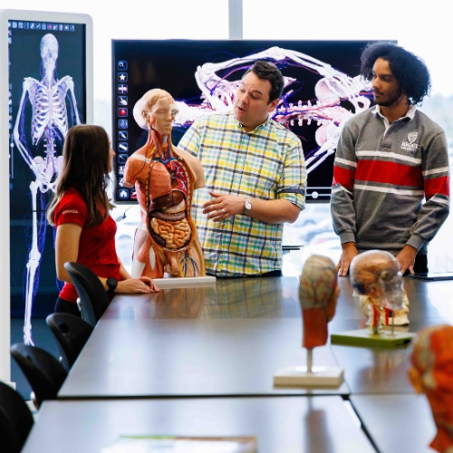 Anatomy lab students and professor with digital anatomy boards and models
