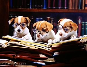 Puppies and Books