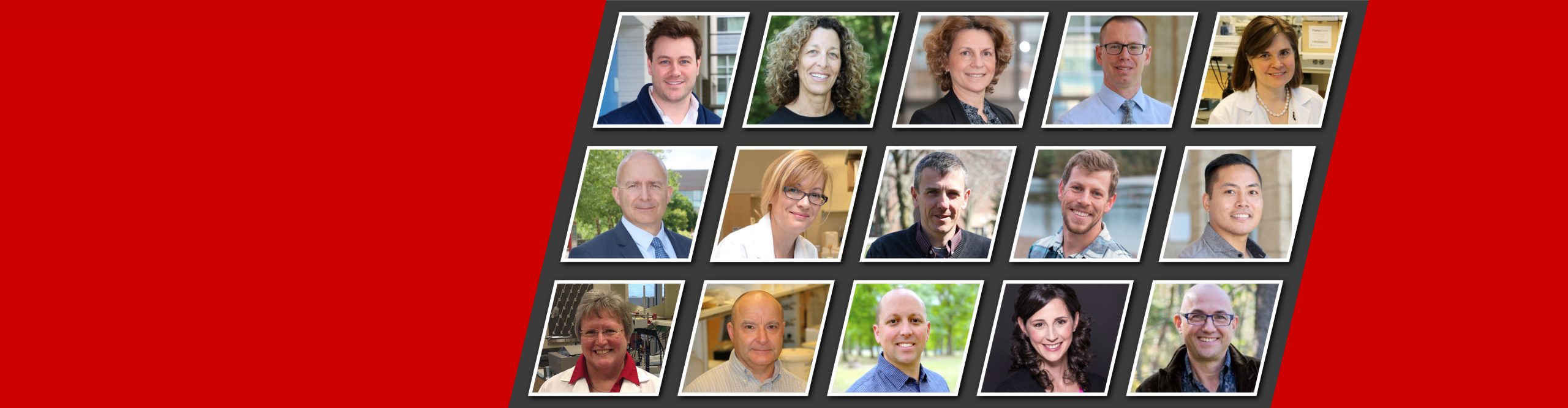 faces of faculty members in the centre for bone and muscle health 