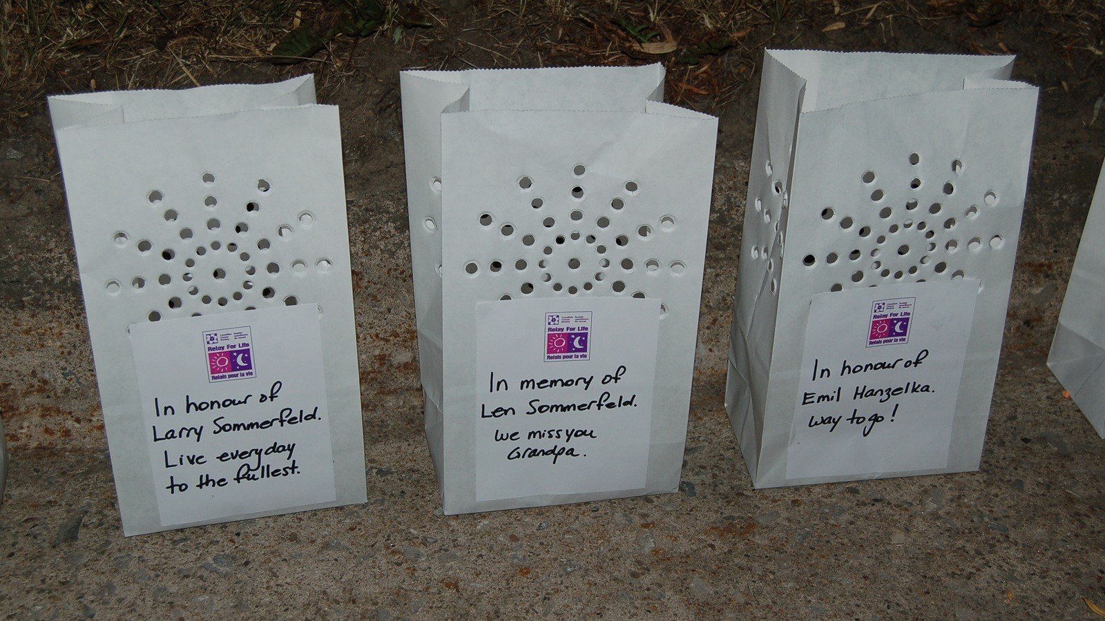 Relay for Life hosts art exhibit of luminarias  North Star Reporter