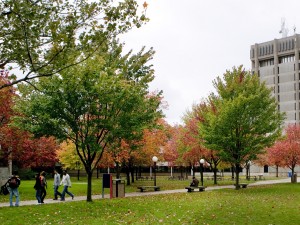Brock tower in fall