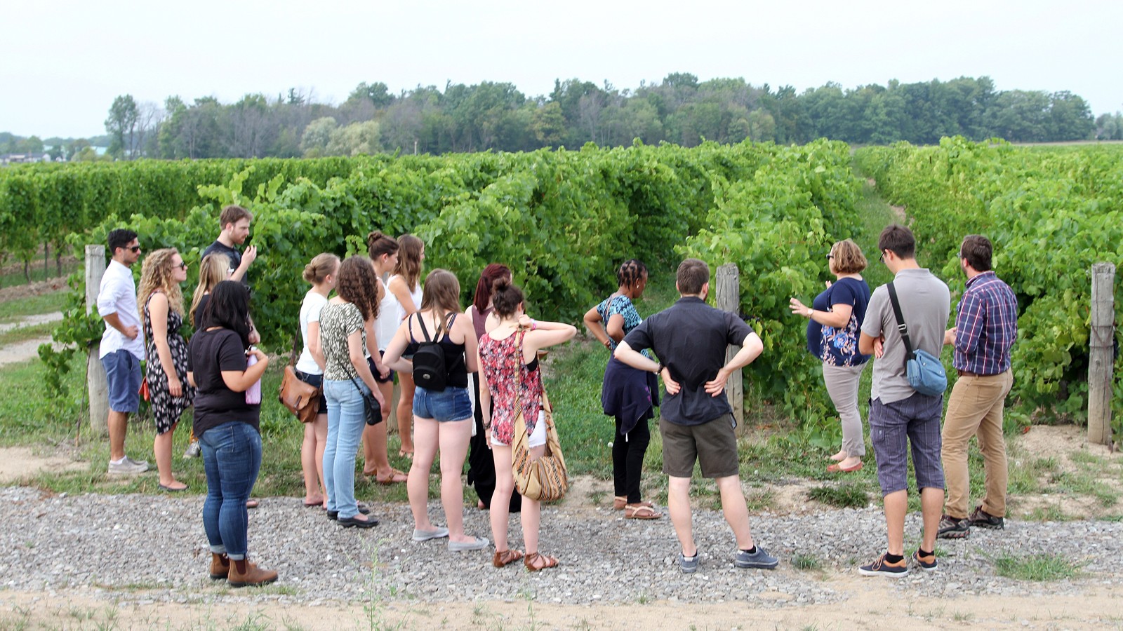 Students in the Oenology and Viticulture (OEVI) degree program and Grape and Wine Technology certificate program (OEVC) headed out to the field for vineyard and winery tours with two of the program’s local alumni.