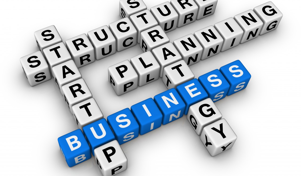 startup business (blue-white cubes crossword series)