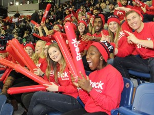 Fans in the stands at a hockey game