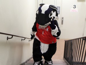Boomer the Brock Badger in the stairway in the James A. Gibson Library to promote the #LibraryStairsChallenge.