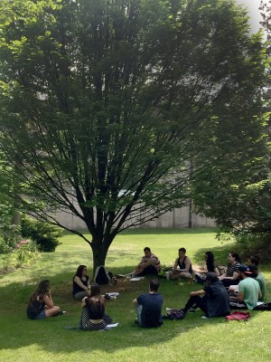 Students sit in a circle under a tree