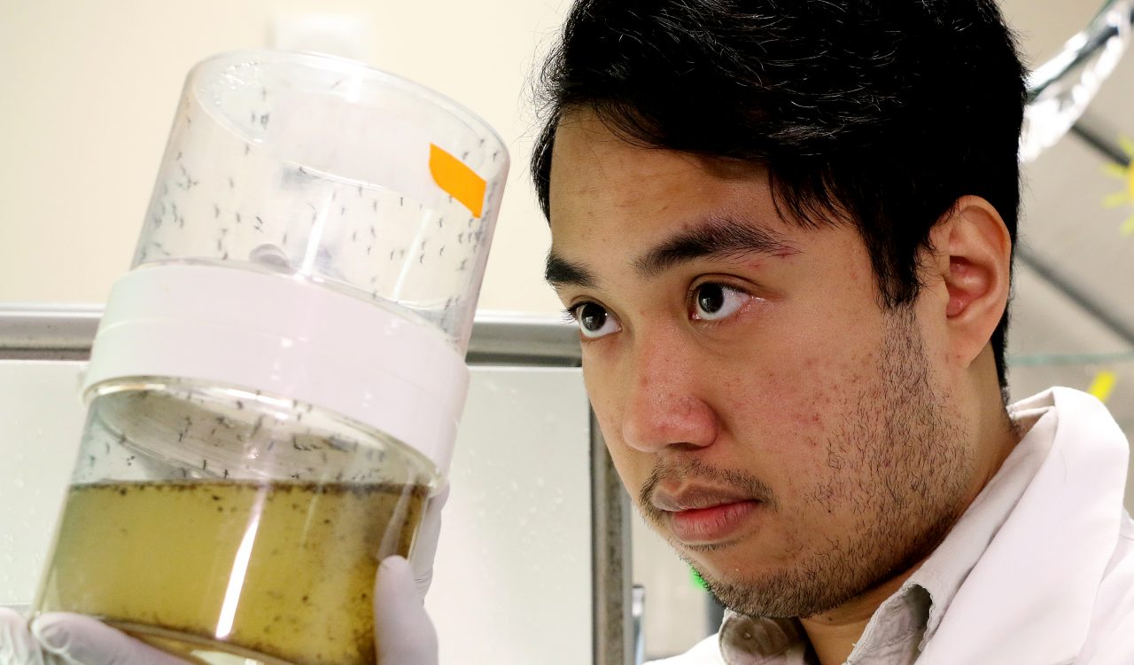 Darrell Agbulos, master's student who is working with Fiona Hunter's team studying Zika virus.
