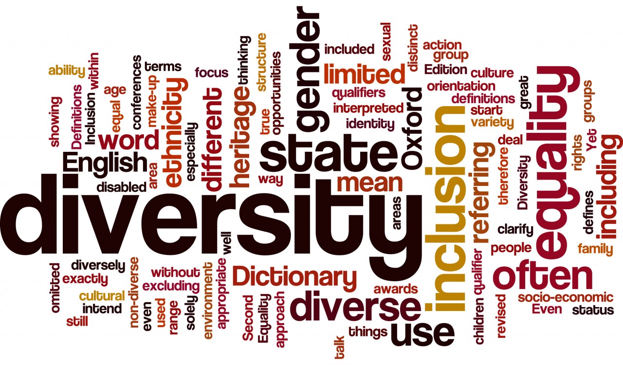 Diversity word cloud