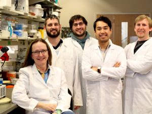 Fiona Hunter, left, with students Bryan Giordano, Jason Causarano, Darrell Agbulos and Adam Jewiss, who are working alongside her to study Zika virus at Brock Unviersity.