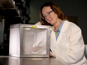 Brock University medical entomologist and researcher Fiona Hunter.