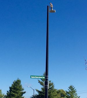 A hawk sits atop a lamp post bearing the new street sign in honour of Suzanne Rochon-Burnett. 