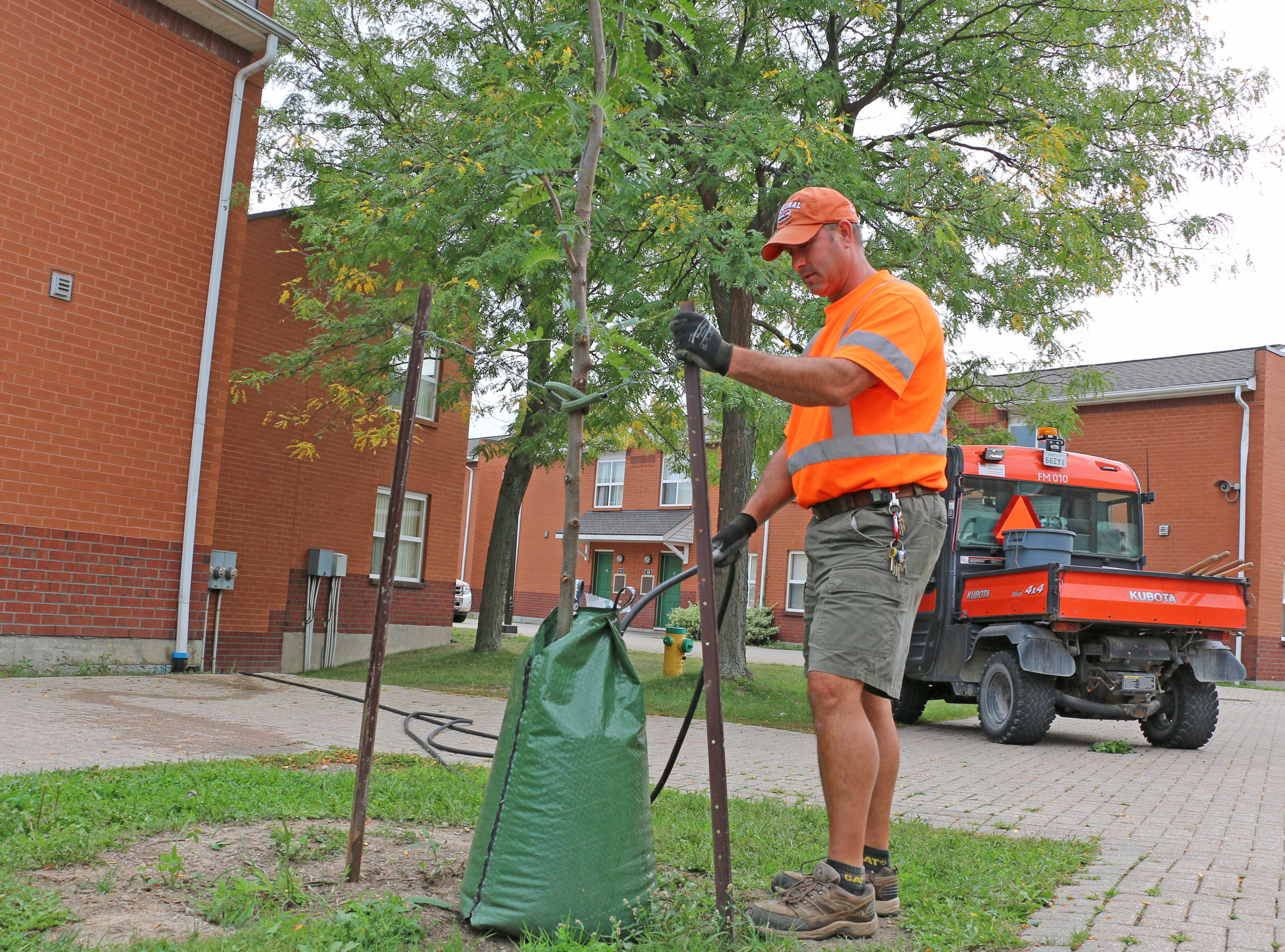 keeping-brock-green-makes-for-a-busy-tree-planting-program-the-brock-news