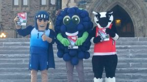 Niagara mascots Summer Games