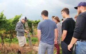 New CCOVI students at vineyard