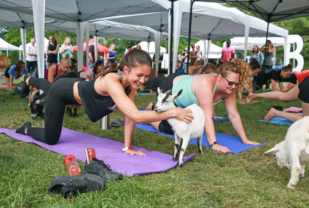 Welcome Week goat yoga