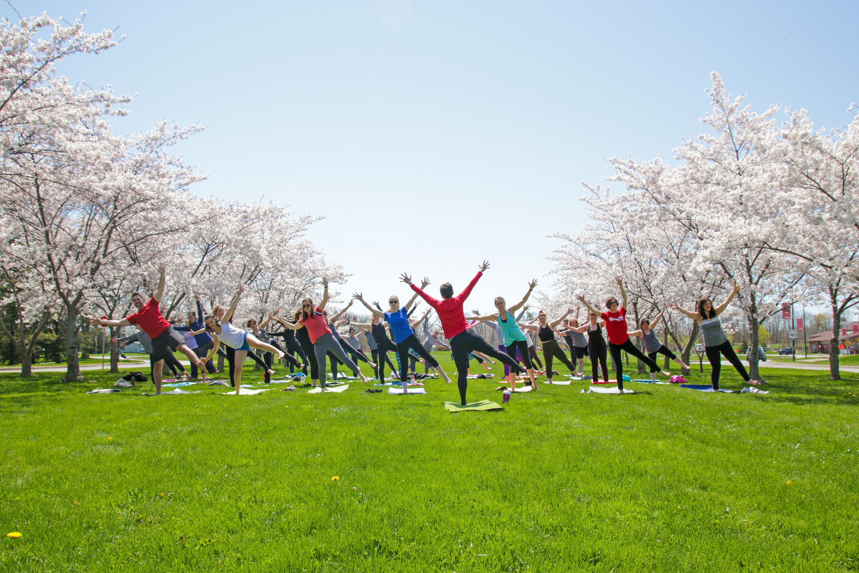 Cherry blossom yoga RS – The Brock News