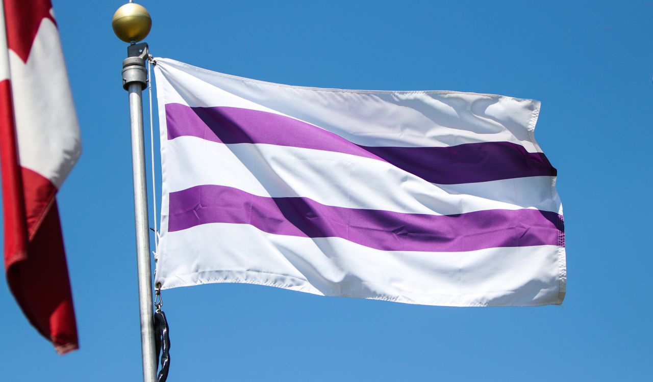 A white and purple flag on a flagpole in front of a blue sky.