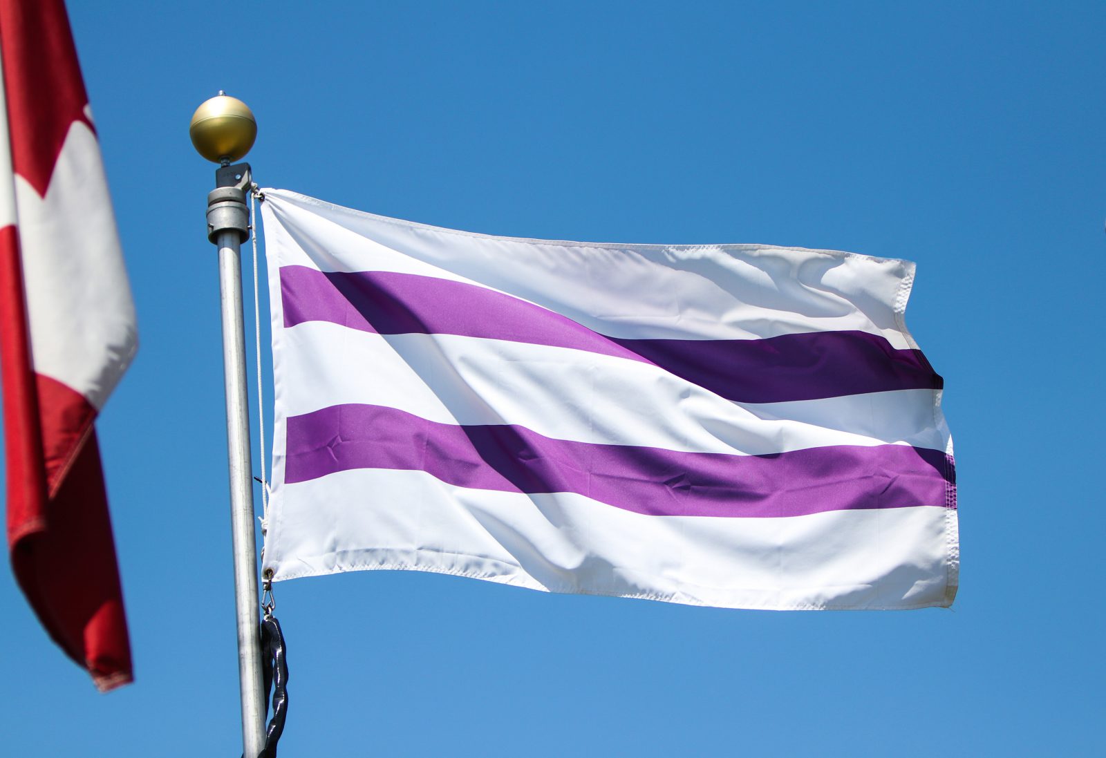 A white and purple flag on a flagpole in front of a blue sky.