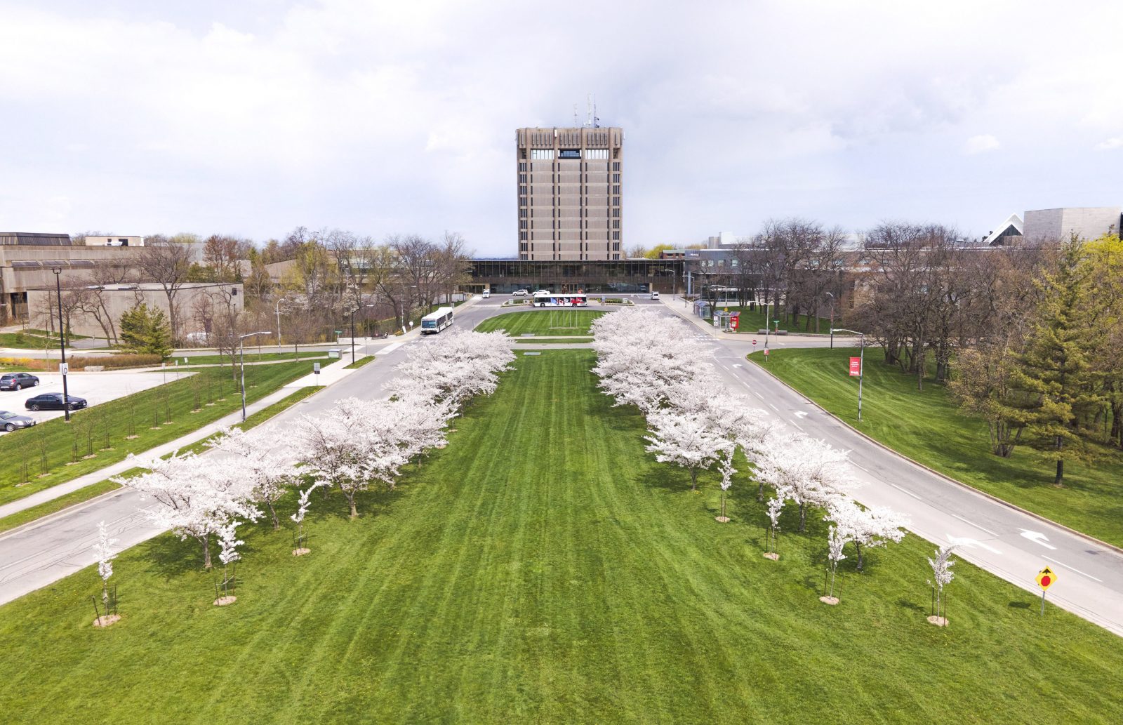 An aerial photo of Brock's main campus with a field of green space lined by cherry blossoms with the University's Schmon Tower against a clouded sky in the background.