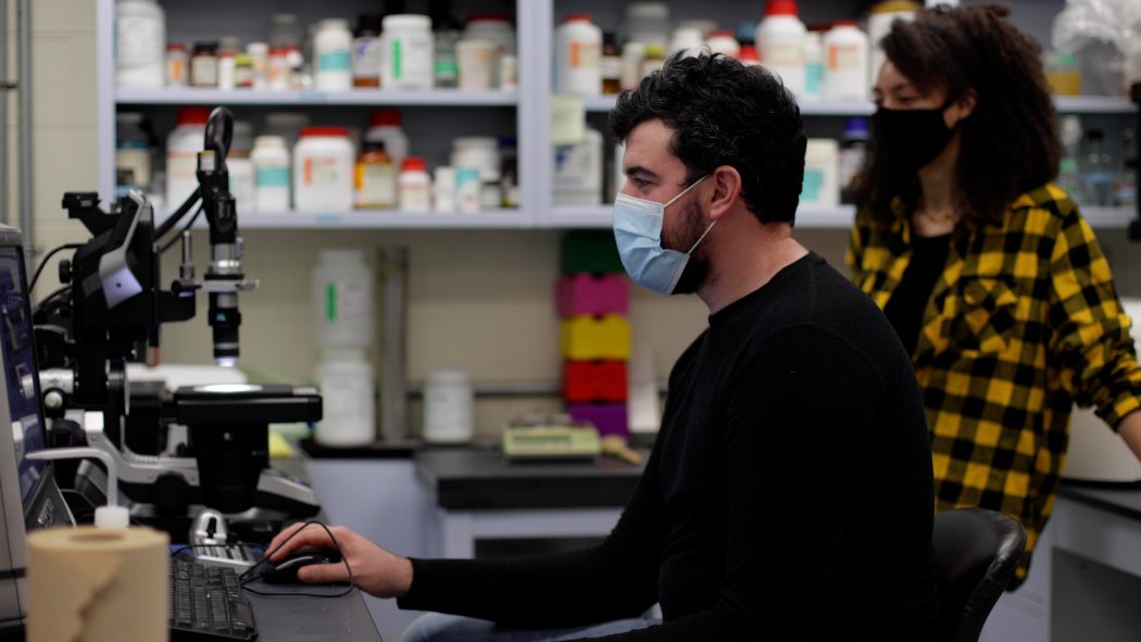 VIDEO: Inside Brock’s Bee Lab – The Brock News