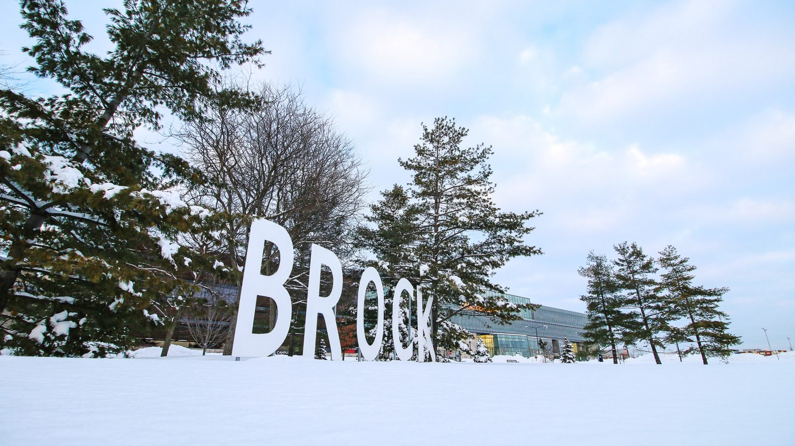 Large letters that spell BROCK on a snowy background.