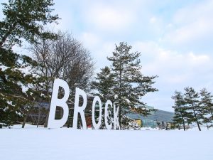 Large letters that spell BROCK on a snowy background.