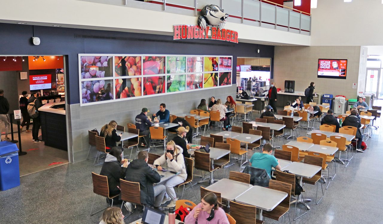 Several people sit at tables and chairs while eating lunch and working on laptops. A wall behind them features several large photos of colourful fruits and vegetables. Above the photos is a sign with the words “Hungry Badger” in capital letters and a cartoon 3D image of a badger.