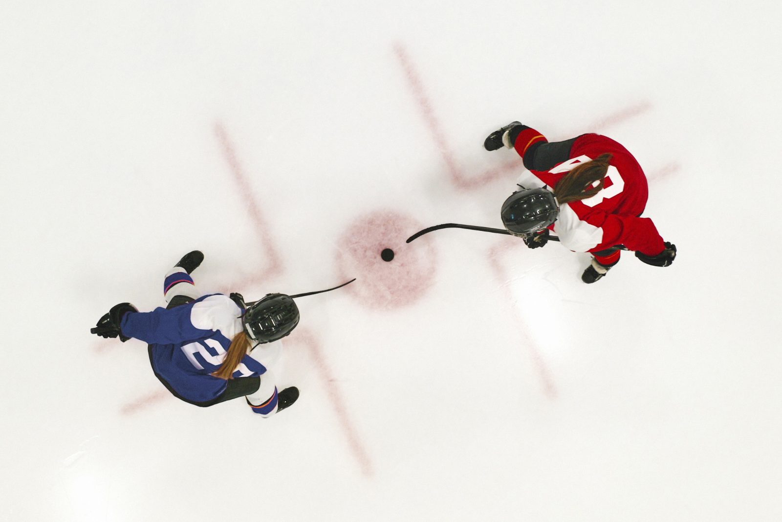 An aerial view as two female ice hockey players face off at centre ice.