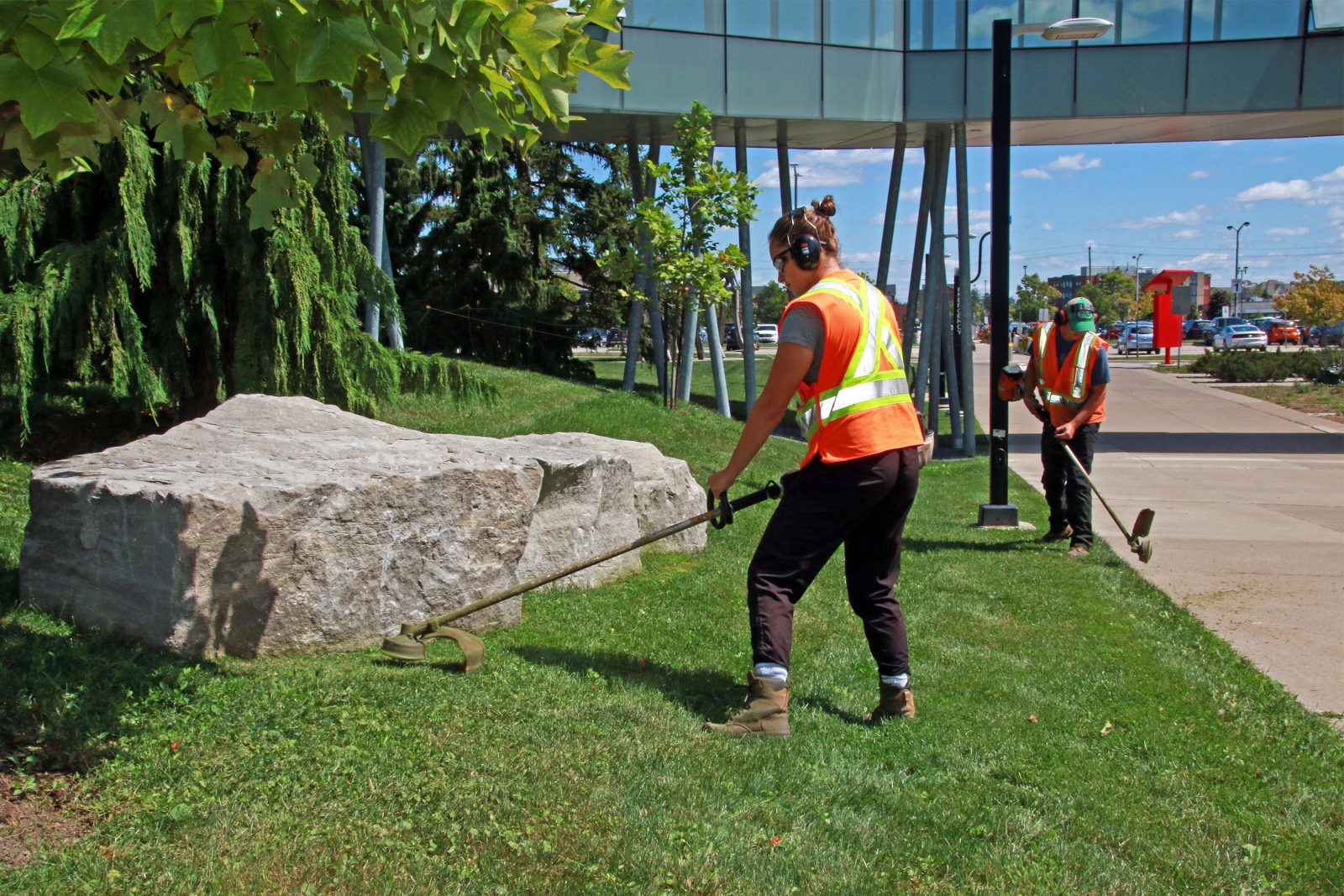 Two Brock University students use lawncare equipment to edge a sidewalk and large decorative rock near Brock's Mackenzie Chown Complex. The students are wearing orange reflective vests, black plants, brown steel-toed boots and protective earmuffs.