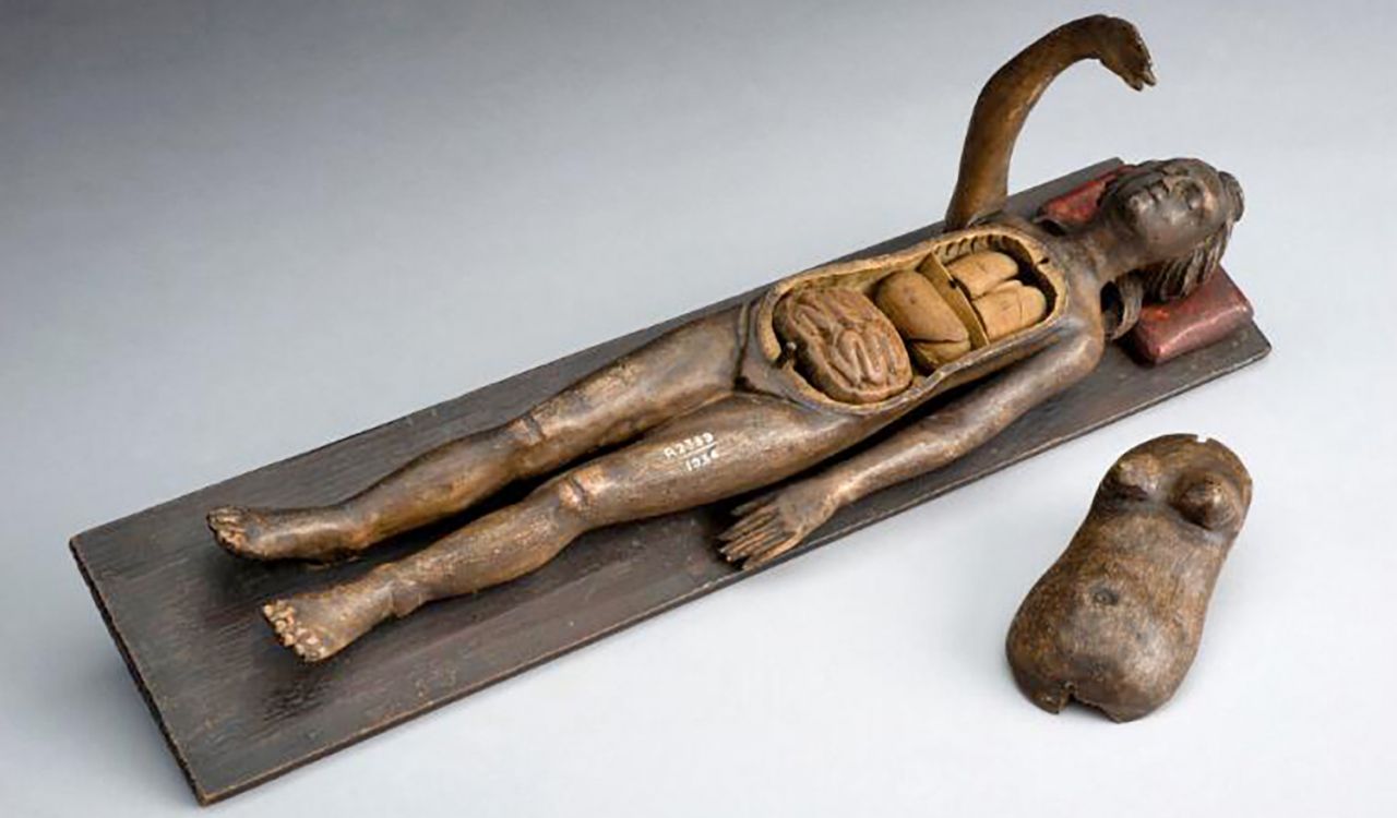 A small, wooden sculpture of a woman’s body lies on a white table. The wooden figure has one arm raised and one arm lying by its side. Beside the figure is a piece of the upper body that has been removed to show the figure’s organs.