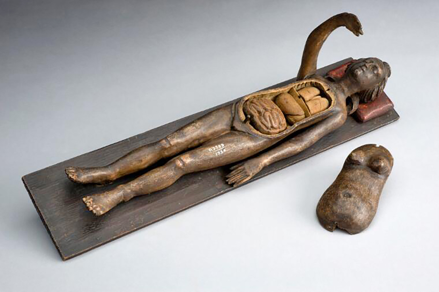 A small, wooden sculpture of a woman’s body lies on a white table. The wooden figure has one arm raised and one arm lying by its side. Beside the figure is a piece of the upper body that has been removed to show the figure’s organs.