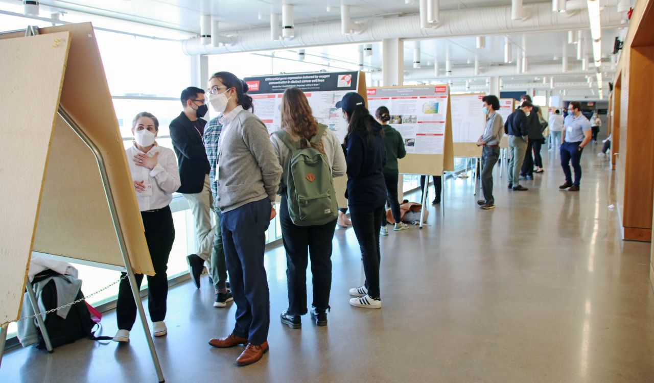People stand in a university hallway looking at poster research presentations.