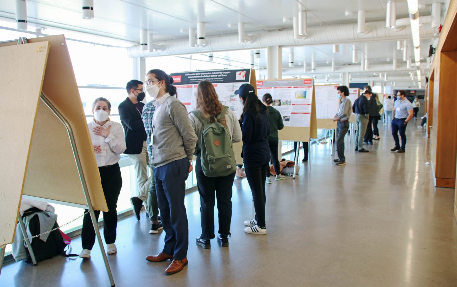 People stand in a university hallway looking at poster research presentations.
