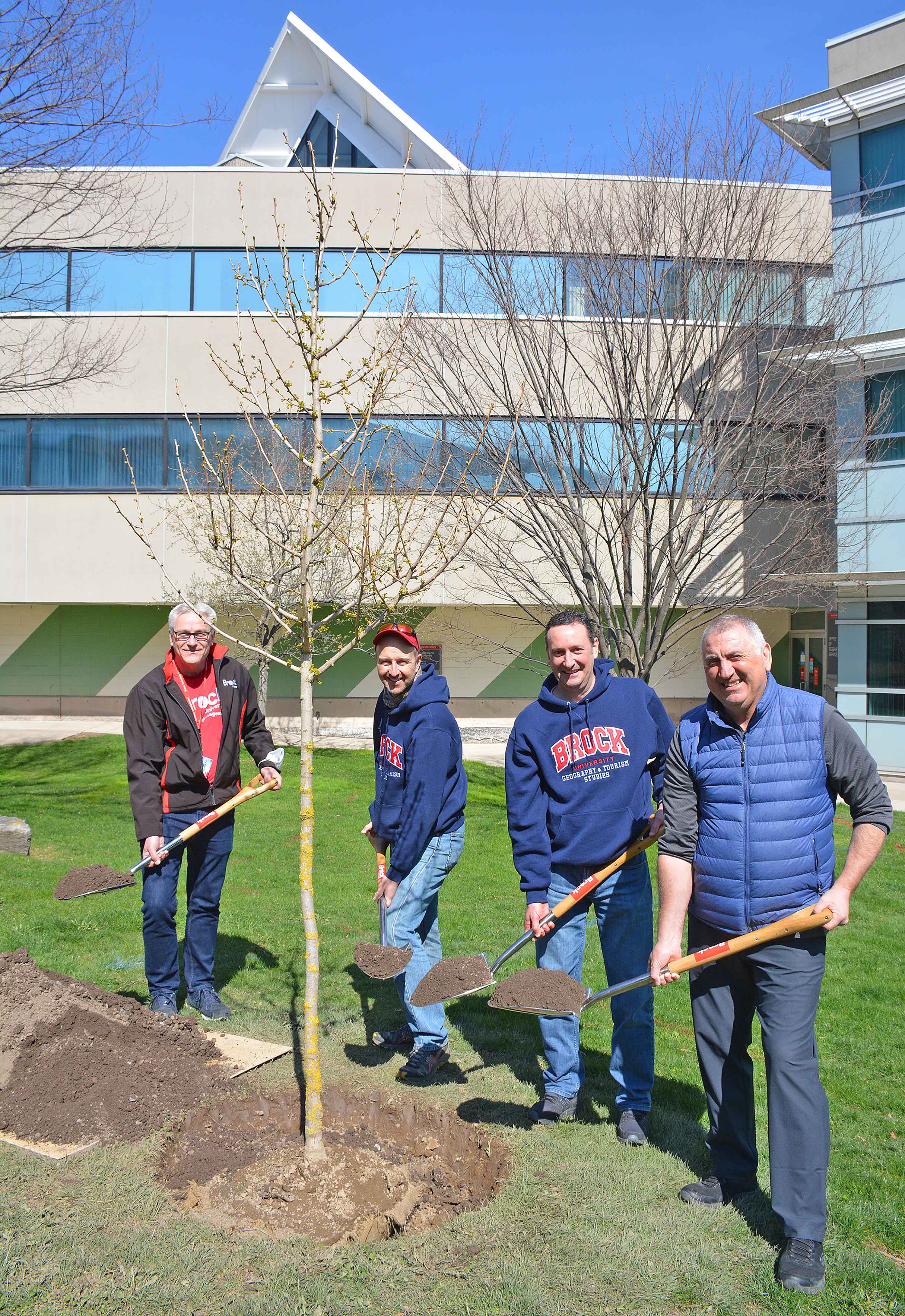 Four men holding shovels with dirt stand around a tree being planted on a sunny day