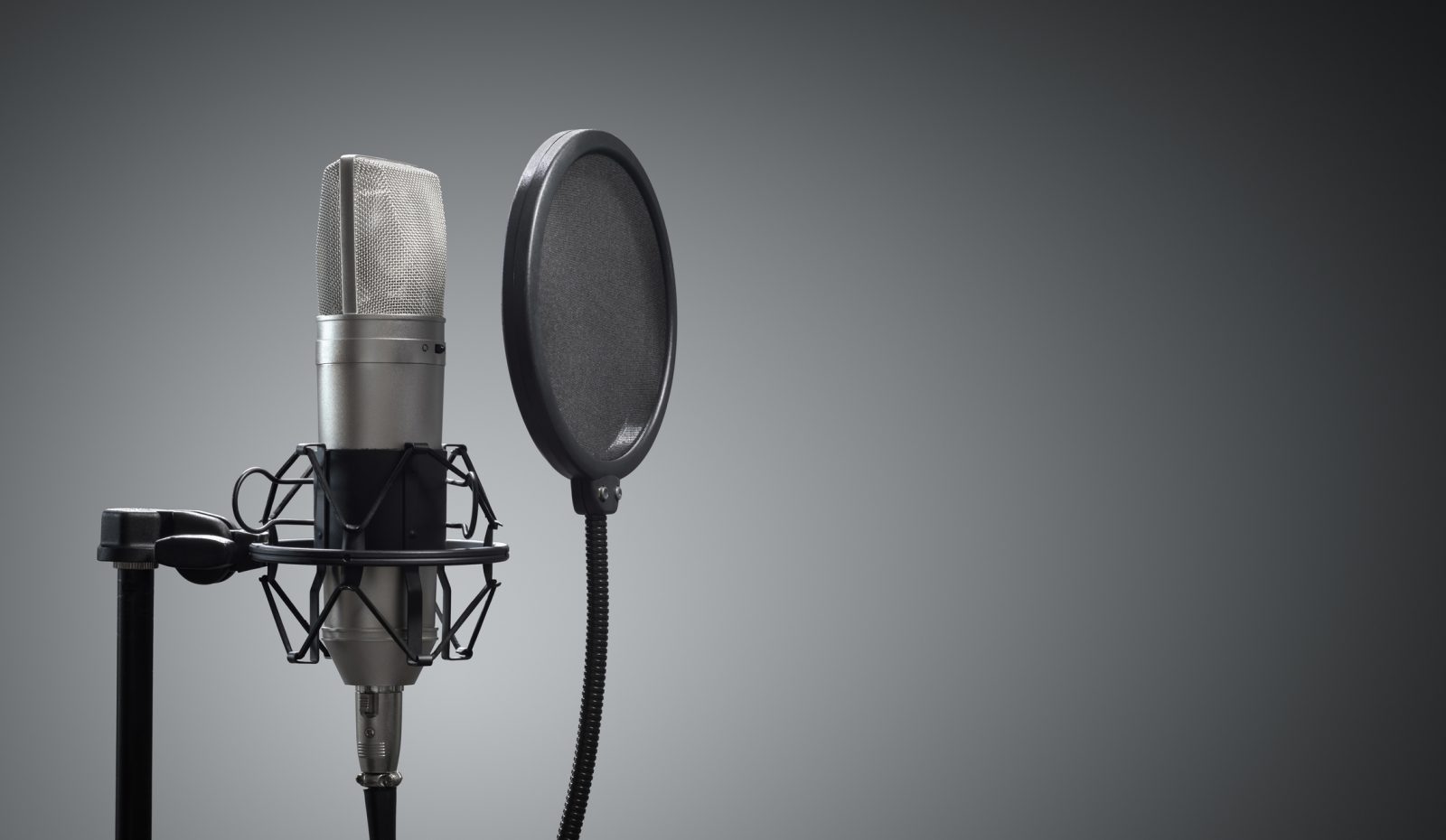 A studio microphone and pop shield on a mic stand against grey background.