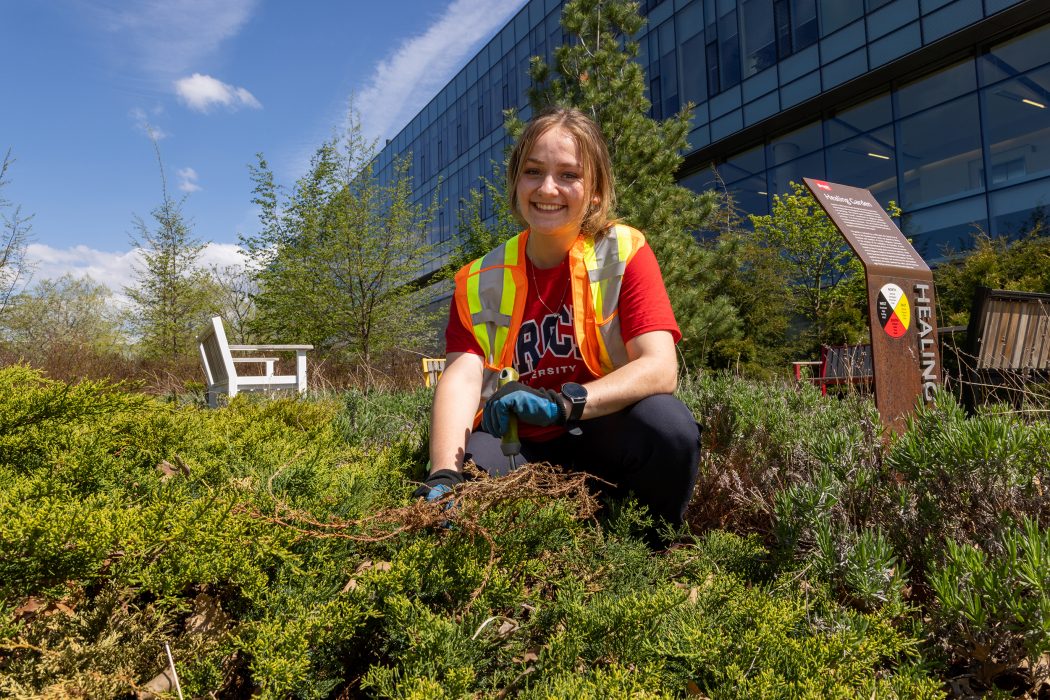 A woman in an orange safety vest crouches amongst green shrubs as she works in a garden.